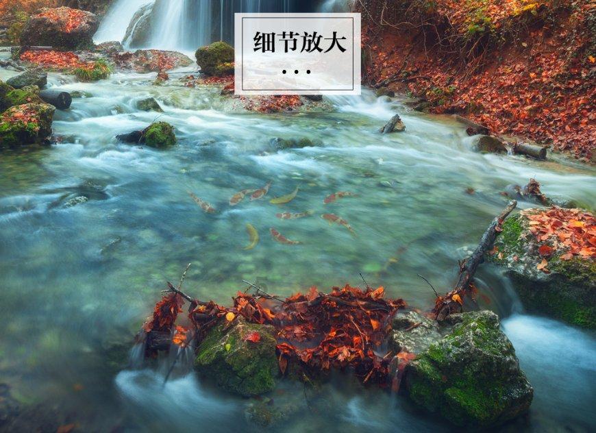 杨幂和杨颖在娱乐圈谁混得比较好？游戏画面